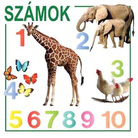 Kis könyvek kicsiknek-Számok, Színek, Formák