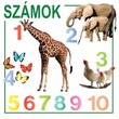 Kis könyvek kicsiknek-Számok, Színek, Formák