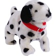 Bukfences kutya, Dalmata