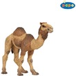 Papo Egypupu teve 50105