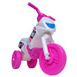 Kis enduró motor