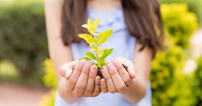Programok a Föld napjára
