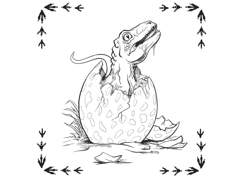 Memória fejlesztő könyv - Dinoszaurusz kép nagyítása