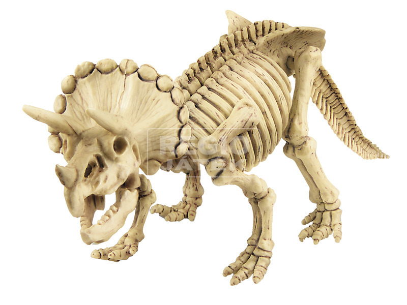 4M dinoszaurusz régész készlet-Triceratops kép nagyítása