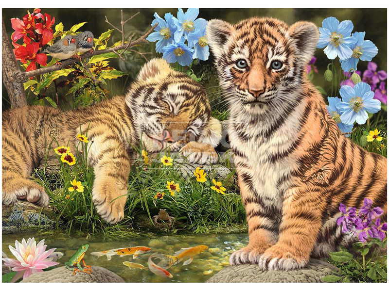 Dino Puzzle 1000 pcs, titkos - Tigriskölykök kép nagyítása