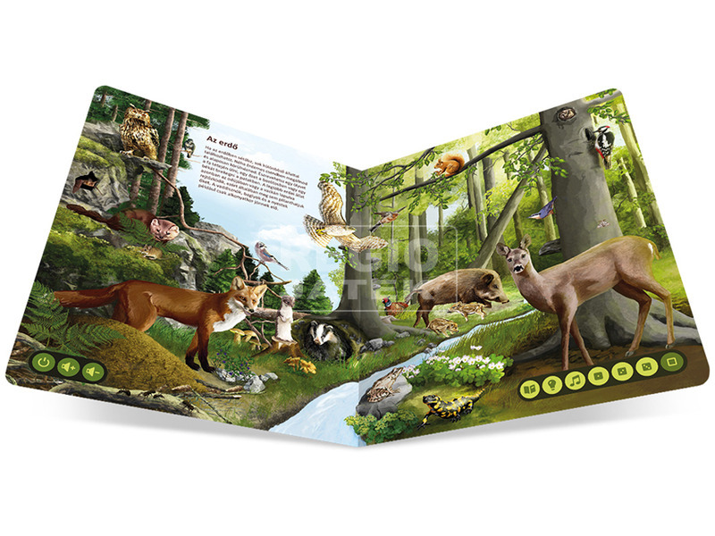 kép nagyítása Tolki interaktív könyv - Az állatok világa