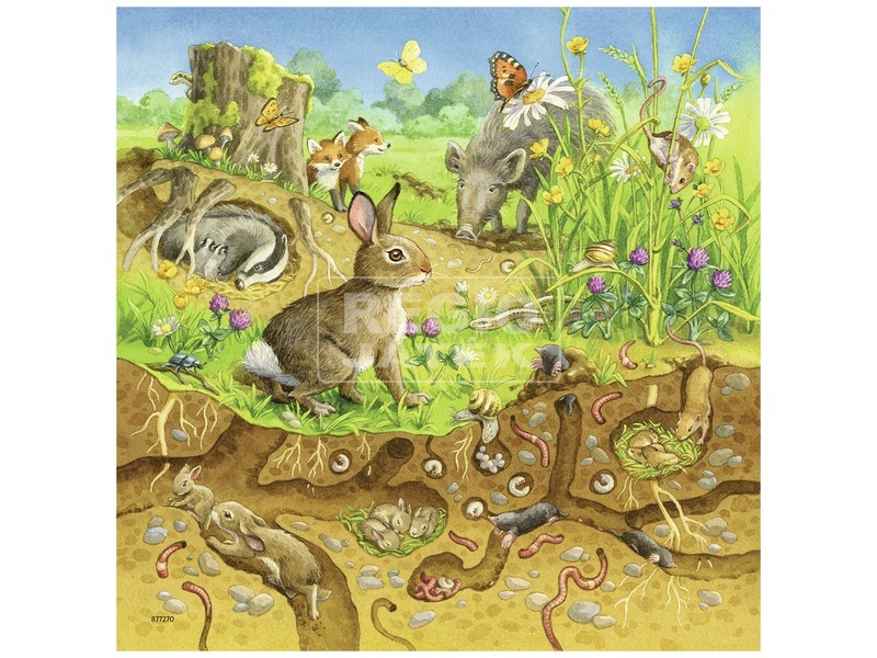 Ravensburger: Állatok és élőhelyük 3 x 49 darabos puzzle kép nagyítása