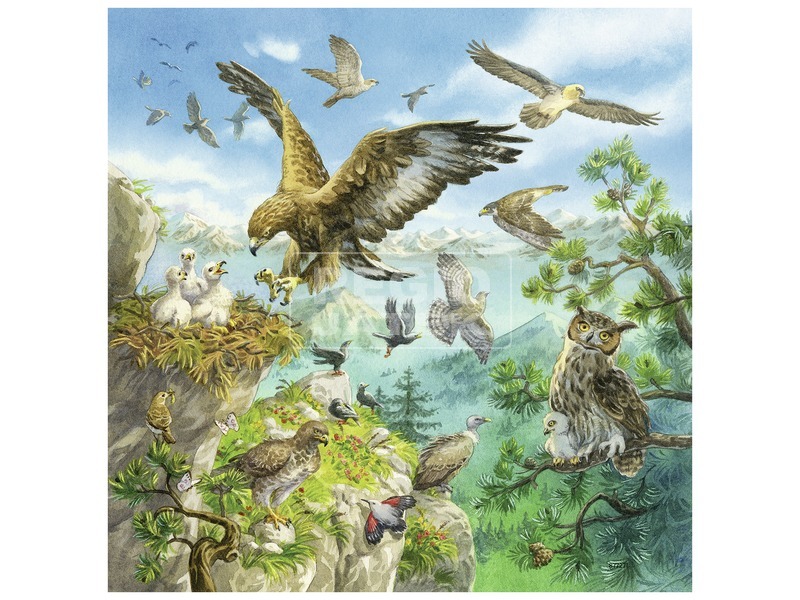 Ravensburger: Állatok és élőhelyük 3 x 49 darabos puzzle kép nagyítása