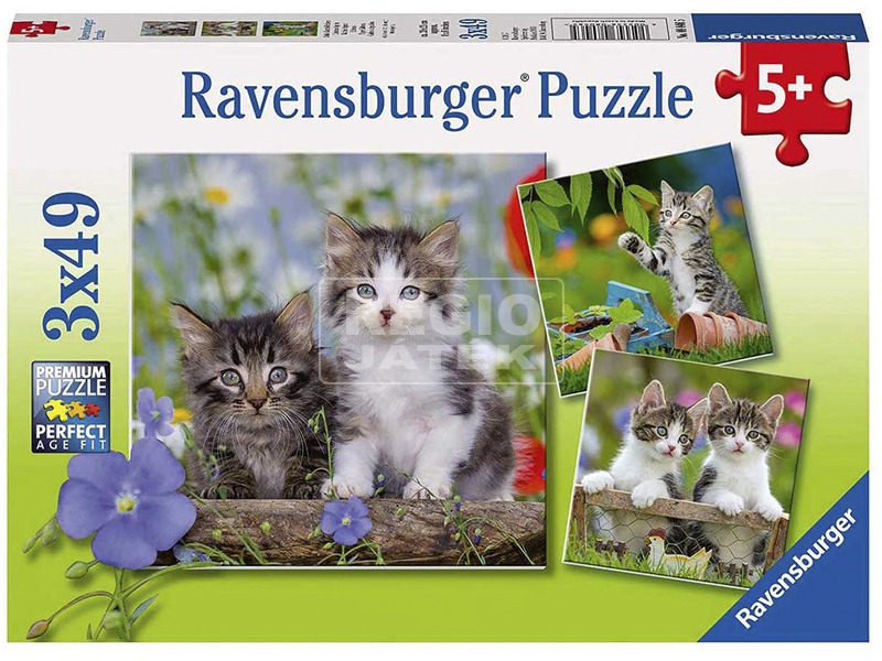 Puzzle 3x49 db - Édes kiscicák kép nagyítása