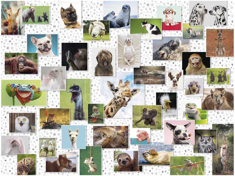 Ravensburger: Puzzle 1500 db - Vicces állatok kép nagyítása
