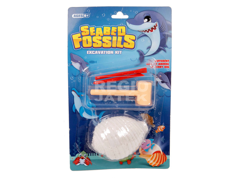 Régész szett - Fosszíliák