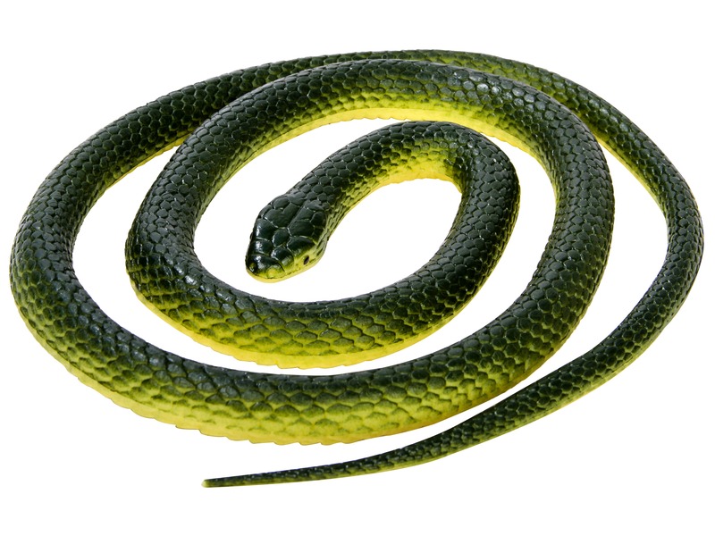 Gumi kígyó - többféle kép nagyítása