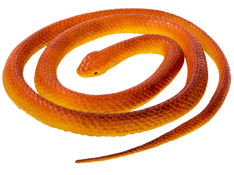 Gumi kígyó - többféle kép nagyítása