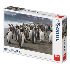 Puzzle 1000 db - Pingvinek