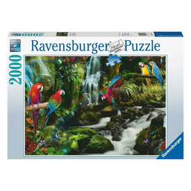 Ravensburger Puzzle 2000 db - Színes papgájok a dzsungelban