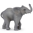 00350 - Papo elefánt 50225