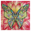Grafix - Gyémánt festmés vászonra Pillangó 30 x 30 cm kép nagyítása