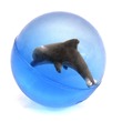 01509 - Delfines pattogó labda - 4 cm
