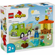 07787 - LEGO Duplo Town 10419 Méhek és kaptárak gondozása