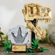 LEGO Jurassic World 76964 Dinoszaurusz maradványok: T-Rex koponya kép nagyítása