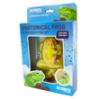 Béka anatómia slime többféle kép nagyítása