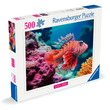 Puzzle 500 db - Vörös oroszlánhal kép nagyítása