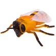 Műanyag rovar figura - többféle kép nagyítása