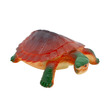 Mini teknős 9, 5 cm kép nagyítása