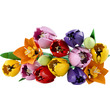 LEGO Botanicals 11501 Tulipáncsokor kép nagyítása