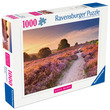 Puzzle 1000 db - Rózsaszín ösvény kép nagyítása
