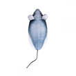 Lora a plüss patkány, 20 cm kép nagyítása