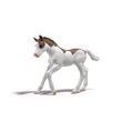 Schleich Gyűjthető Csikó Dipper kép nagyítása