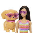 Barbie kutyasétáltó görkoris szett - barna baba kép nagyítása