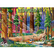 Puzzle 500 db - Redwood nemzeti park kép nagyítása