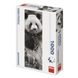 53180 - Dino Puzzle 1000 db panoráma - panda