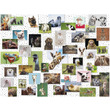 Ravensburger: Puzzle 1500 db - Vicces állatok kép nagyítása