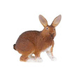 63339 - Papo barna nyúl 51049