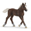 65847 - Schleich Schwarzwaldi csikó