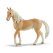 81299 - Schleich Achal tekkiner mén