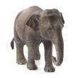 Schleich Ázsiai elefánttehén kép nagyítása