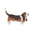 90834 - Papo Basset Hound kutya 54012