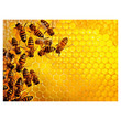 Ravensburger Puzzle 1000 db - Méhek kép nagyítása