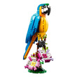 LEGO Creator 31136 Egzotikus papagáj kép nagyítása